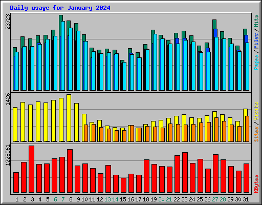 Daily usage for January 2024