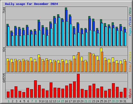 Daily usage for December 2024