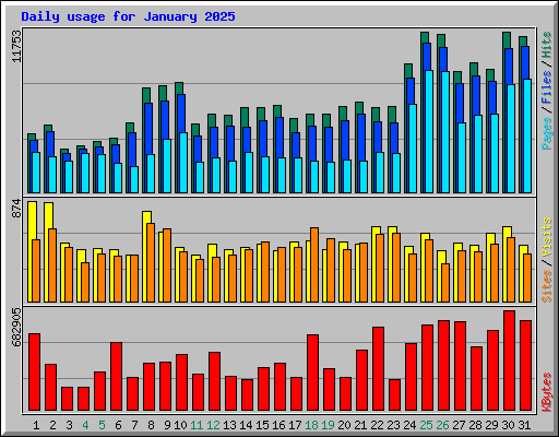 Daily usage for January 2025