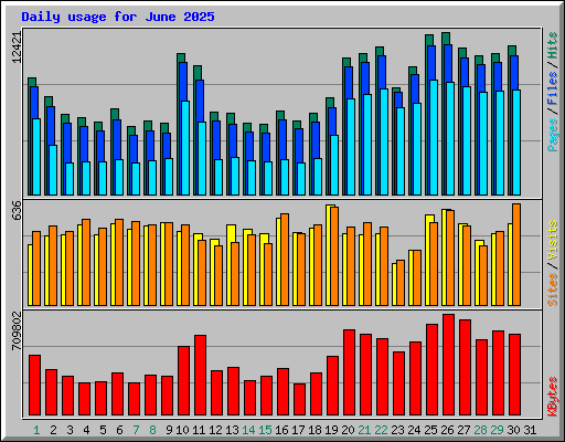 Daily usage for June 2025