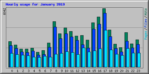 Hourly usage for January 2019