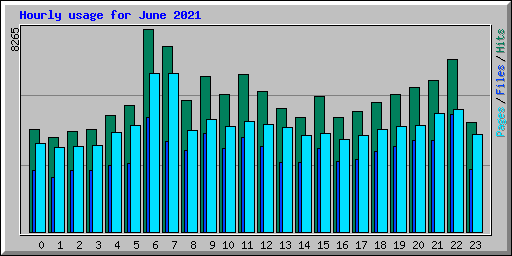 Hourly usage for June 2021