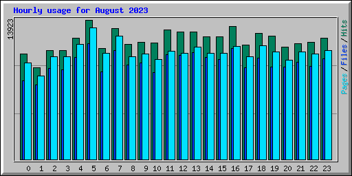 Hourly usage for August 2023