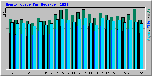Hourly usage for December 2023