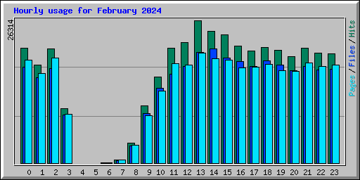 Hourly usage for February 2024