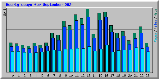 Hourly usage for September 2024