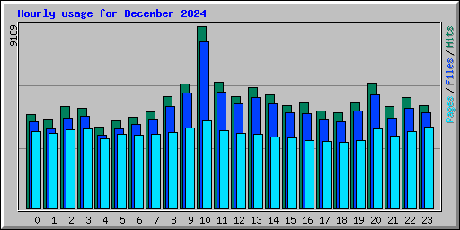 Hourly usage for December 2024