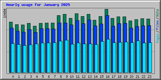 Hourly usage for January 2025
