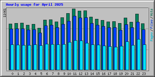 Hourly usage for April 2025