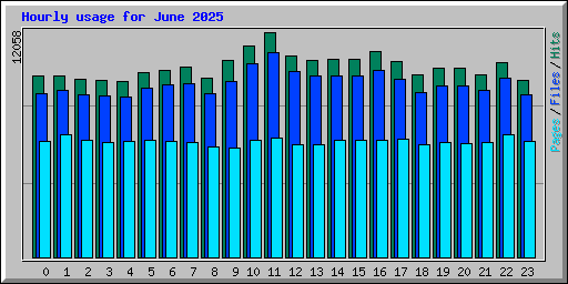 Hourly usage for June 2025