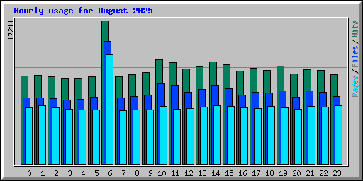 Hourly usage for August 2025