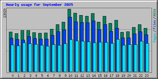 Hourly usage for September 2025