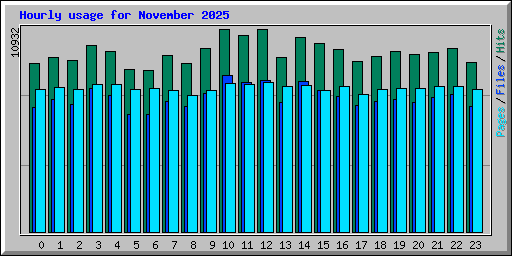 Hourly usage for November 2025