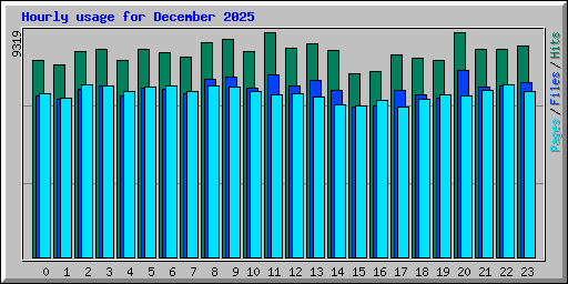 Hourly usage for December 2025