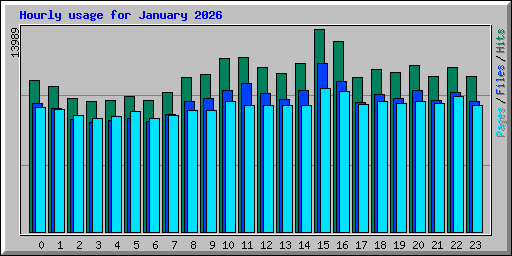 Hourly usage for January 2026