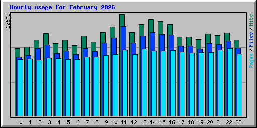 Hourly usage for February 2026