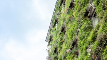 Bild: Daniel Hawelka