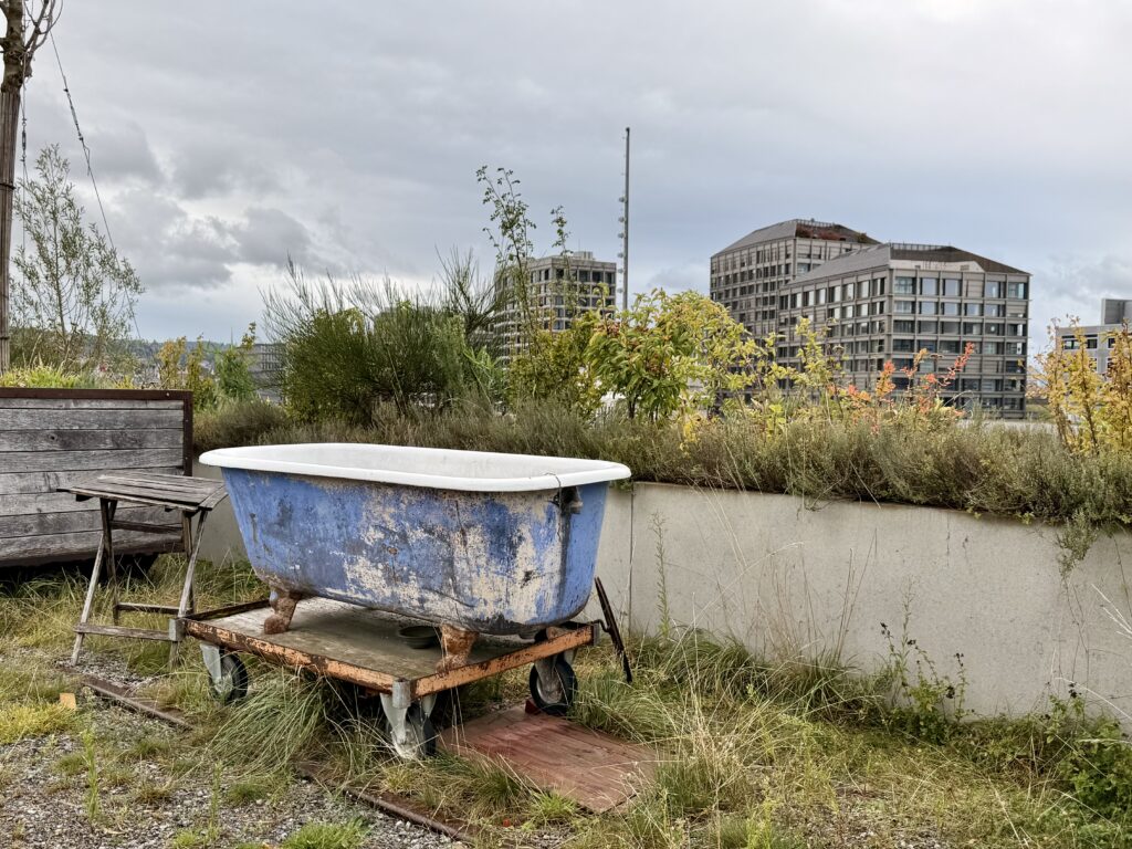 Blick von der großzügigen Dachterrasse des Eingangsseite des Zollhauses
Zollhauses auf die gegenüberliegenden Baute