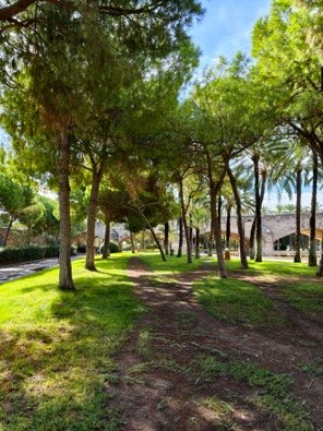 Weg durch den Turia-Park im ehemaligen Flussbett